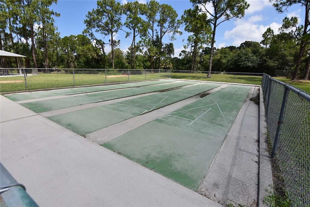 Shuffleboard court