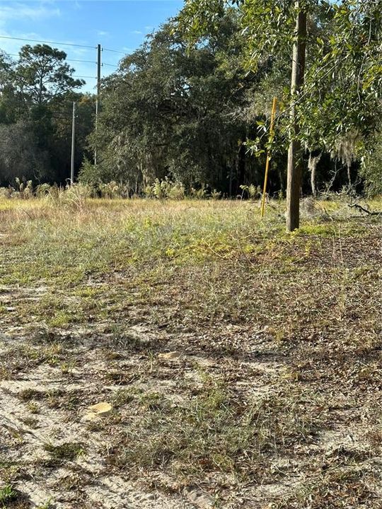 Recently Sold: $105,400 (1.05 acres)