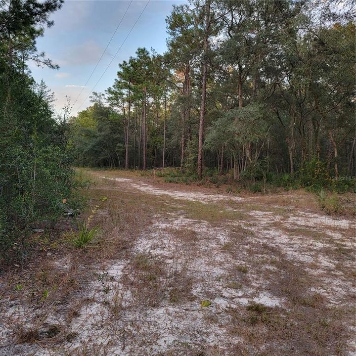 Active With Contract: $849,000 (21.24 acres)