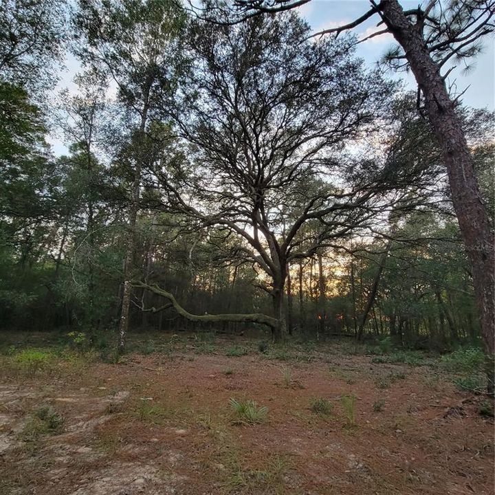 Activo con contrato: $849,000 (21.24 acres)