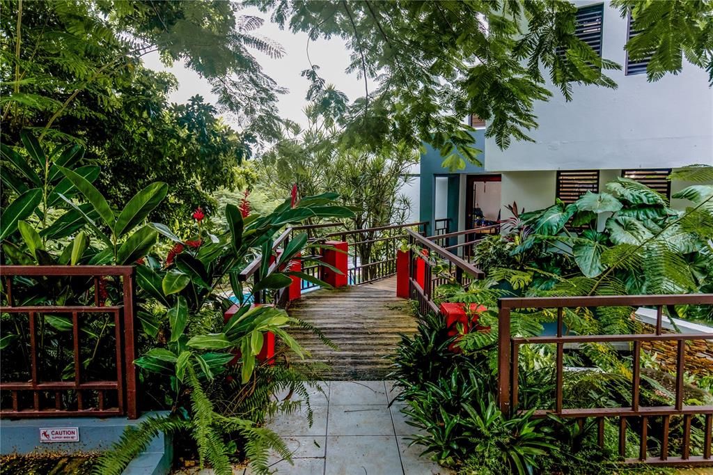 Beautiful bridge entrance to main home.