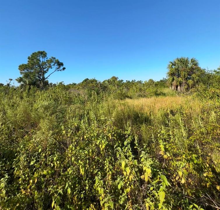 Active With Contract: $18,000 (0.26 acres)