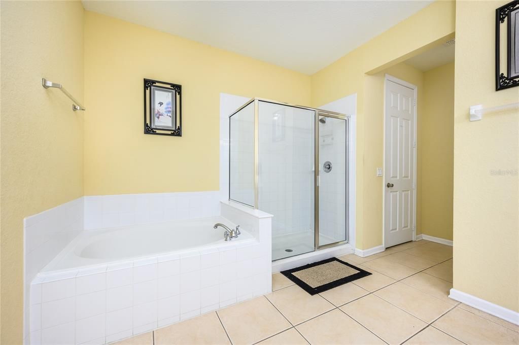 Master bathroom - tub and standing shower