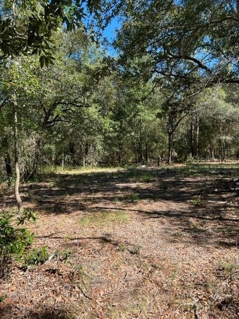 Recently Sold: $26,000 (1.00 acres)