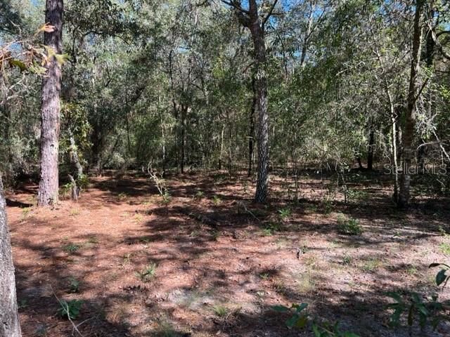 Recently Sold: $26,000 (1.00 acres)