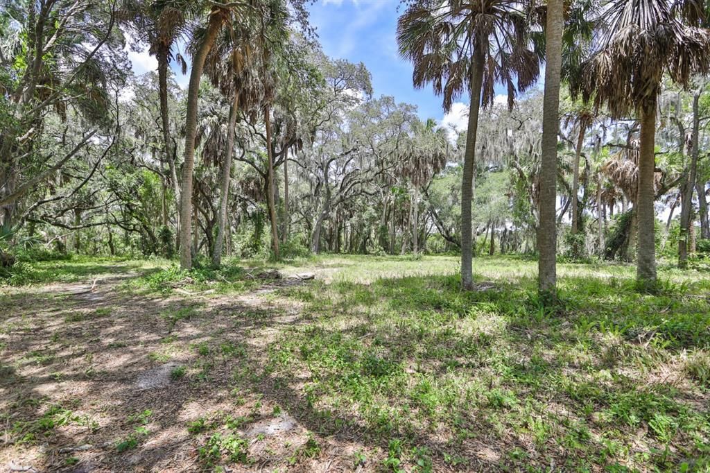 For Sale: $1,327,500 (5.60 acres)
