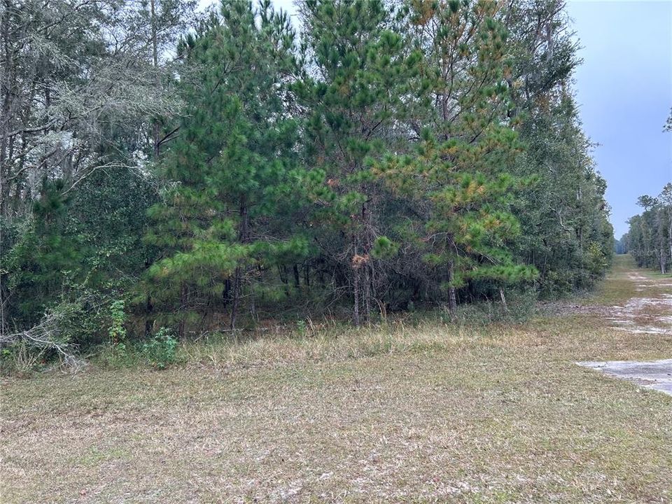 Active With Contract: $99,000 (3.48 acres)
