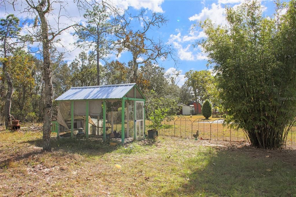 Chicken Coop