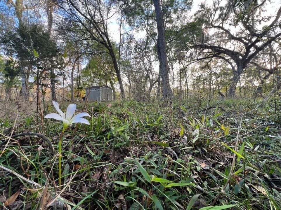 На продажу: $300,000 (6.14 acres)