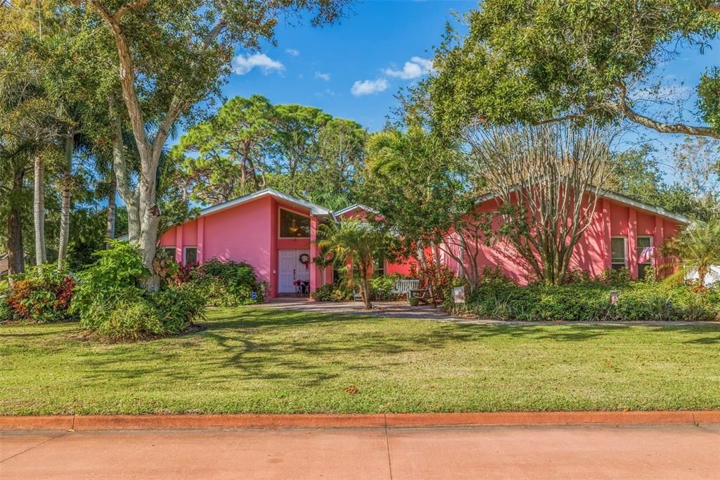 Amazing Pink Streets