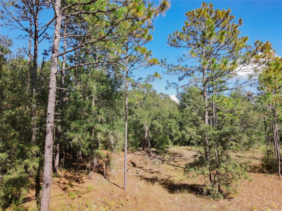 На продажу: $59,000 (1.27 acres)