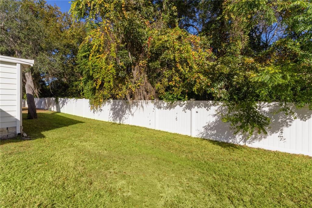 High Fence at Rear of Property