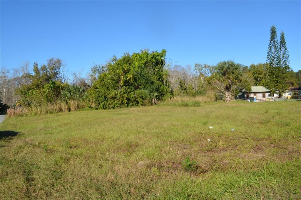Level lot in the heart of Oviedo zoned for the tiny houses
