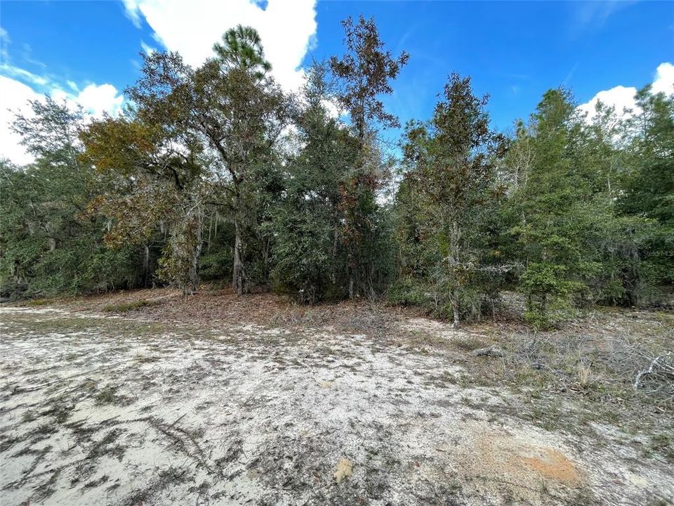 For Sale: $4,900 (0.22 acres)