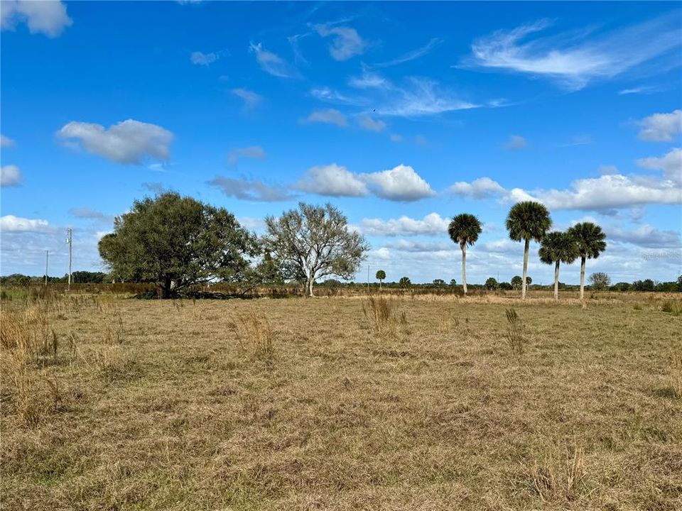 For Sale: $600,000 (30.00 acres)