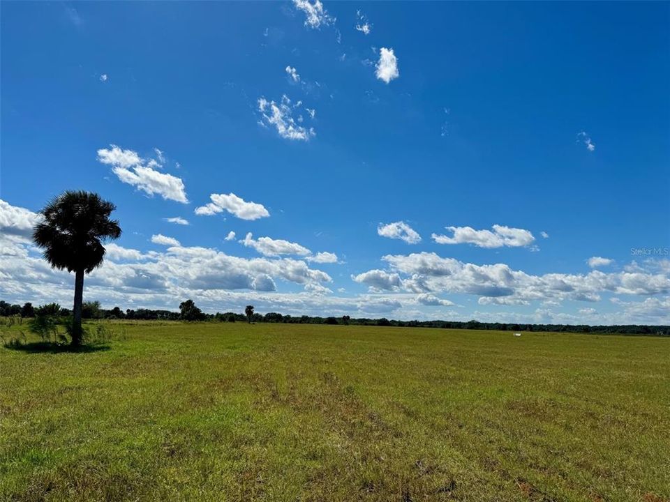 En Venta: $600,000 (30.00 acres)