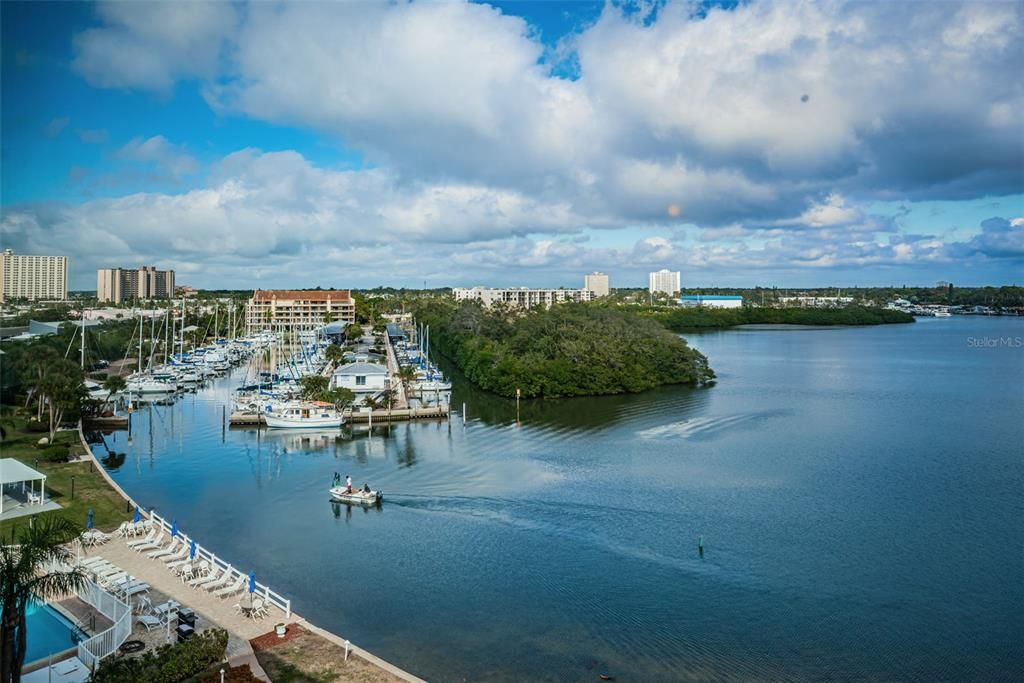 View from Florida Room