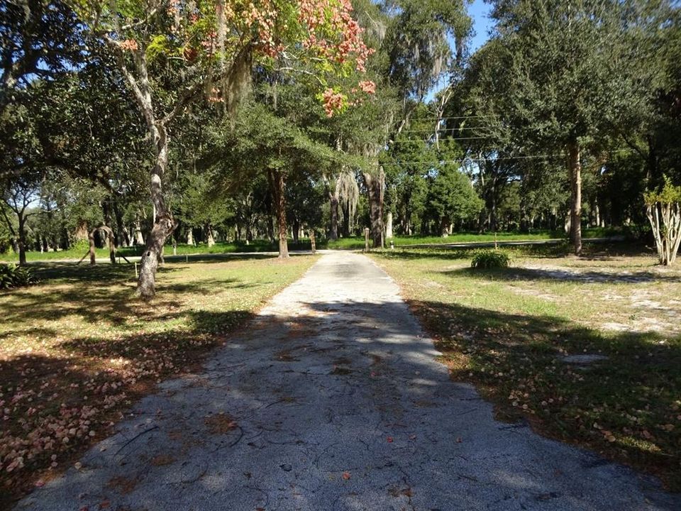 Circular driveway from2nd. Ave. to Frederick St