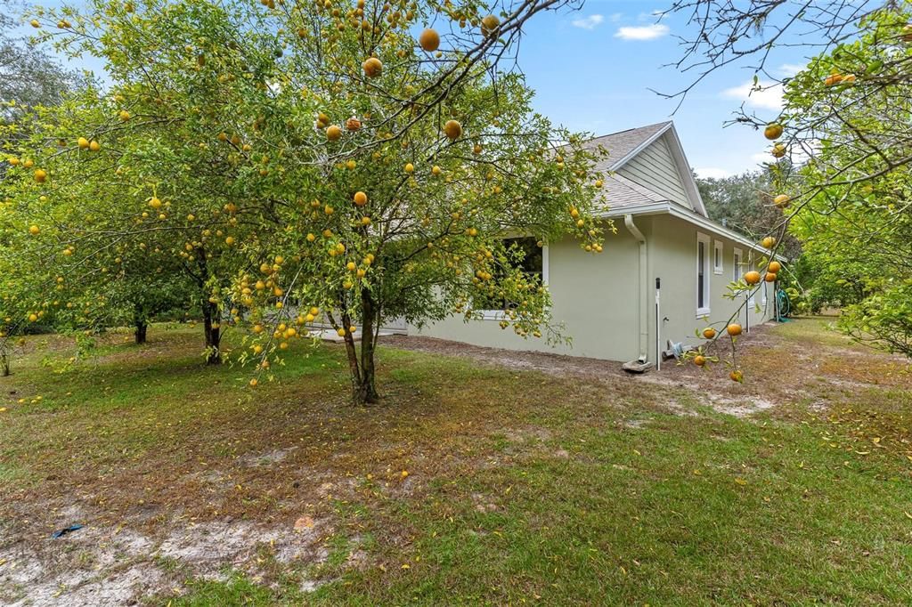 Back Exterior and Backyard Area