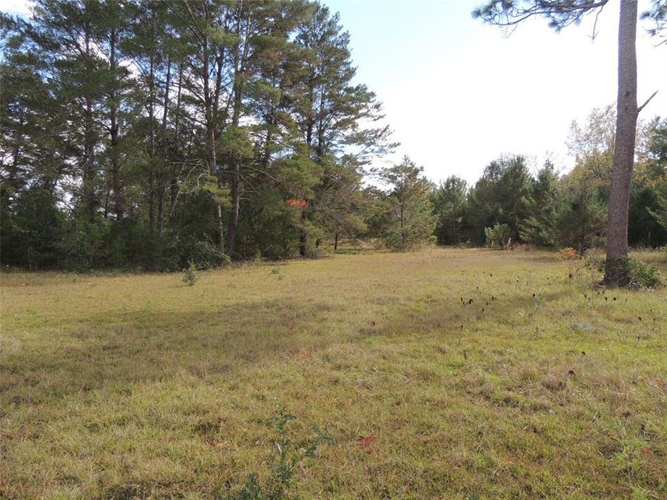 Недавно продано: $95,000 (4.25 acres)