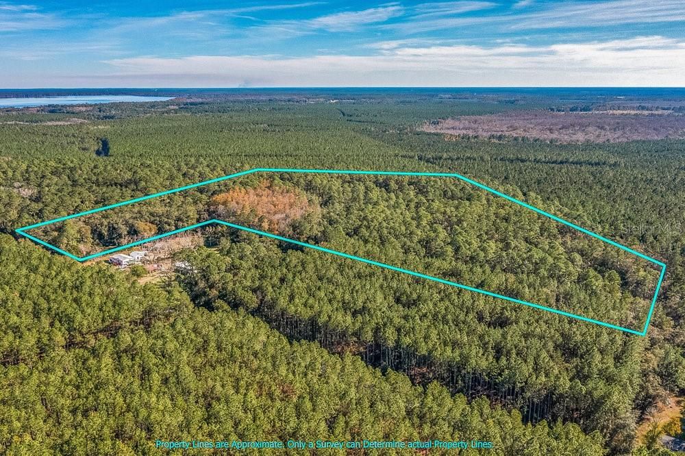 На продажу: $199,000 (22.00 acres)