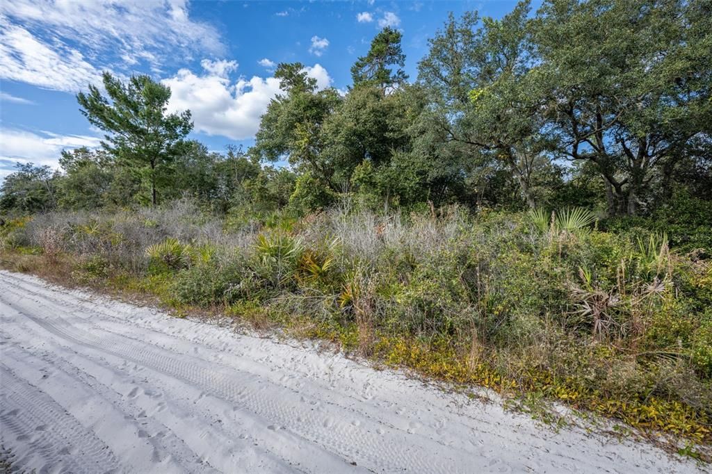 For Sale: $26,999 (0.51 acres)