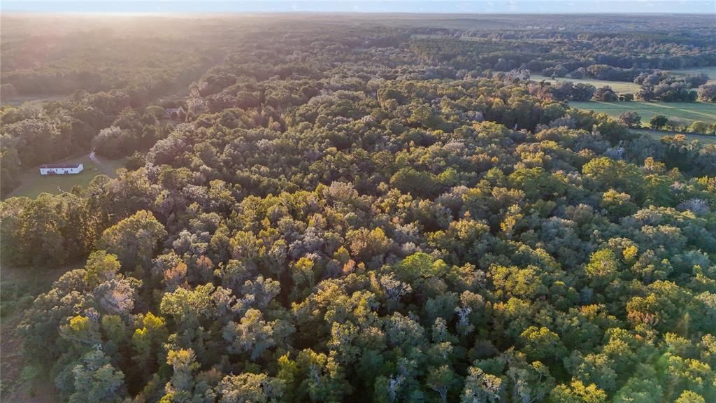 На продажу: $296,500 (10.00 acres)