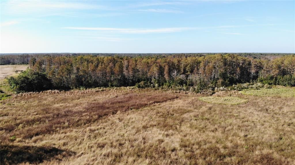 На продажу: $299,000 (12.00 acres)