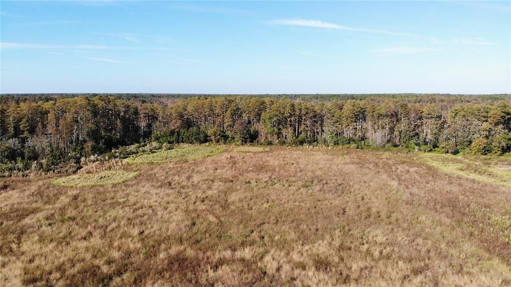 For Sale: $299,000 (12.00 acres)