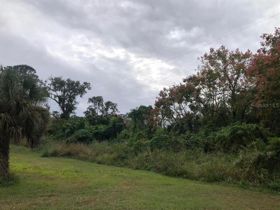 En Venta: $225,000 (3.20 acres)