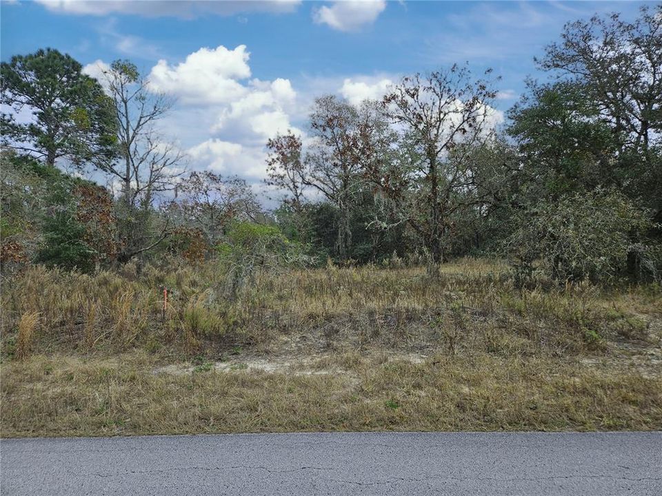 For Sale: $75,000 (2.04 acres)