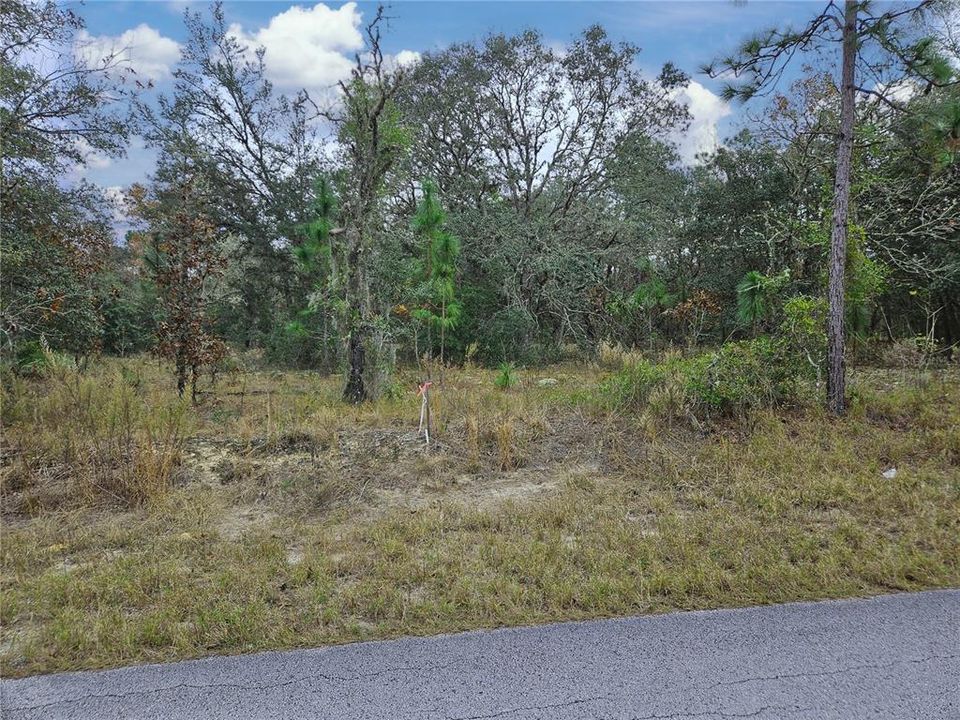 For Sale: $75,000 (2.04 acres)