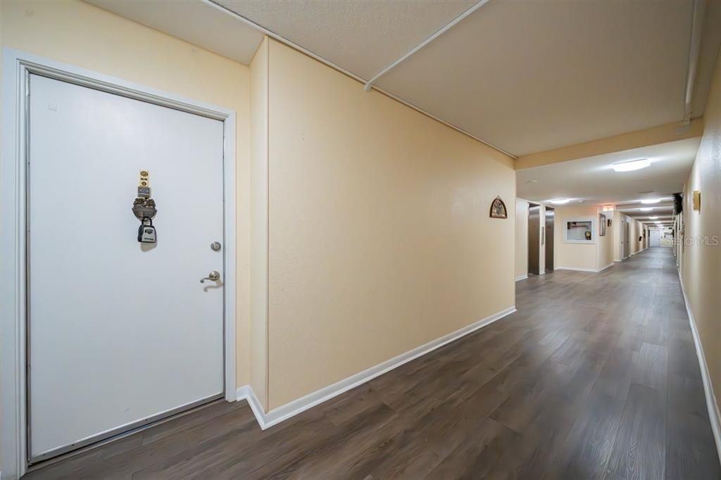 Front door and hallway.