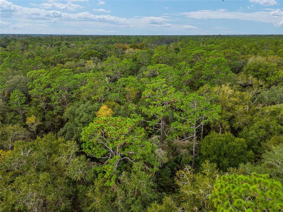 Недавно продано: $80,000 (9.92 acres)