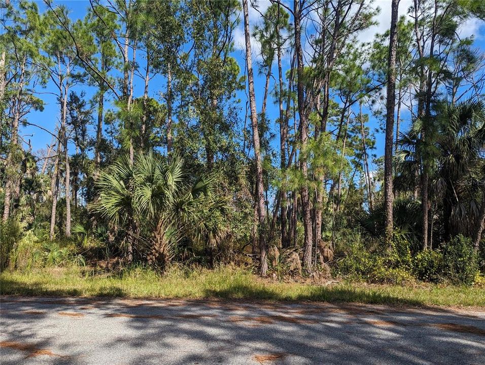 Activo con contrato: $15,500 (0.24 acres)
