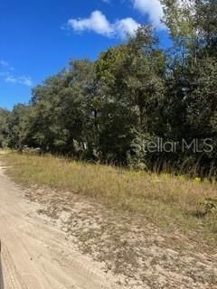 For Sale: $41,900 (3.01 acres)