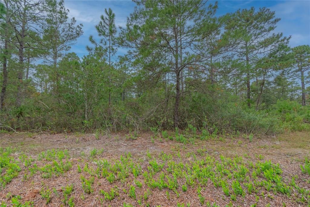 Recently Sold: $15,000 (0.17 acres)