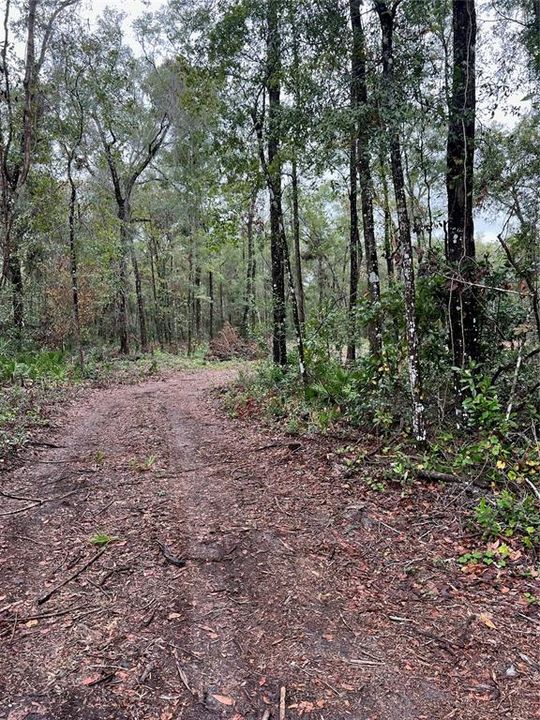 Vendido Recientemente: $29,900 (2.03 acres)