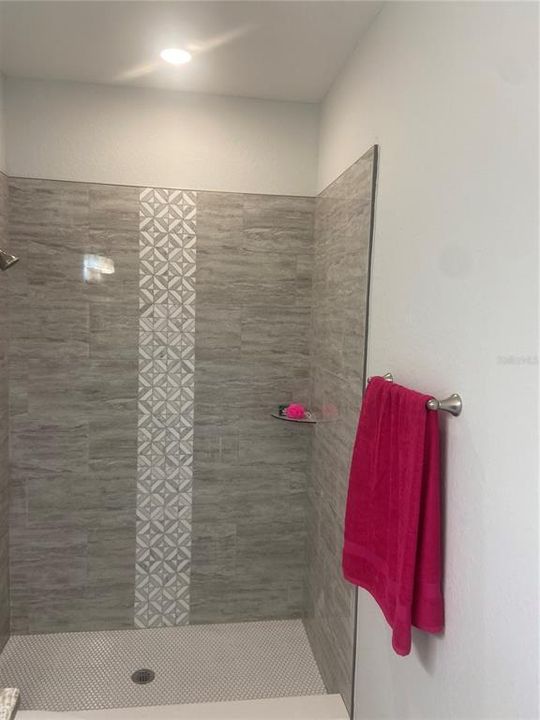 Master Bath tiled walk-in shower, recess light