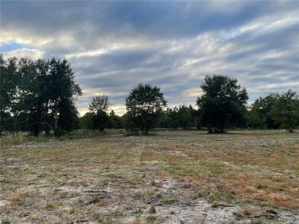 Recently Sold: $75,000 (5.00 acres)