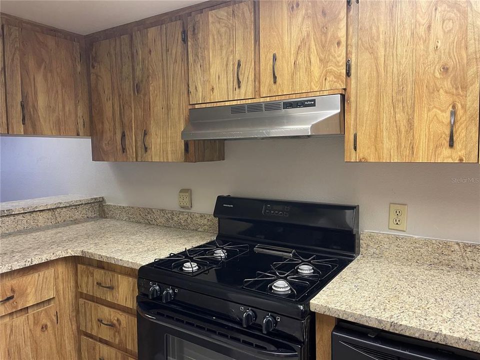 Gas Stove with Granite Countertops