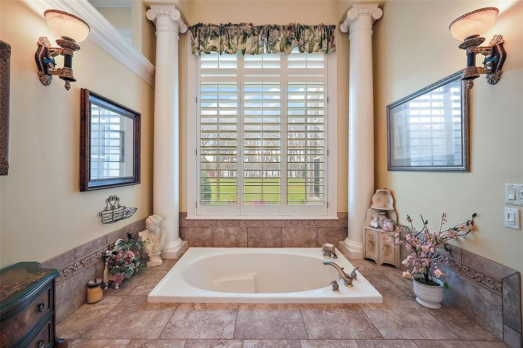 Owner's jetted soak tub