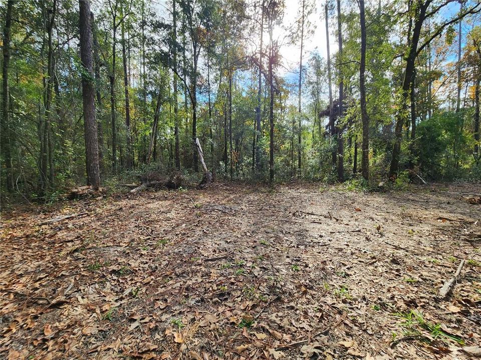 Recently Sold: $35,000 (0.92 acres)