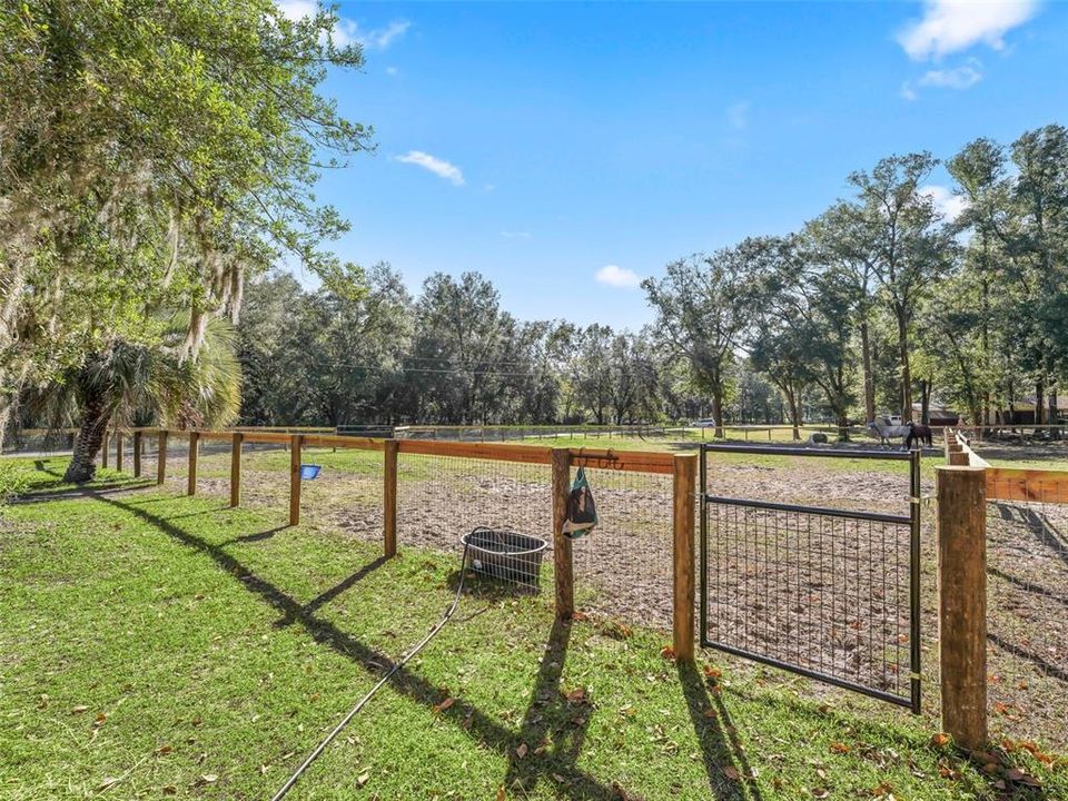 New fencing entire property