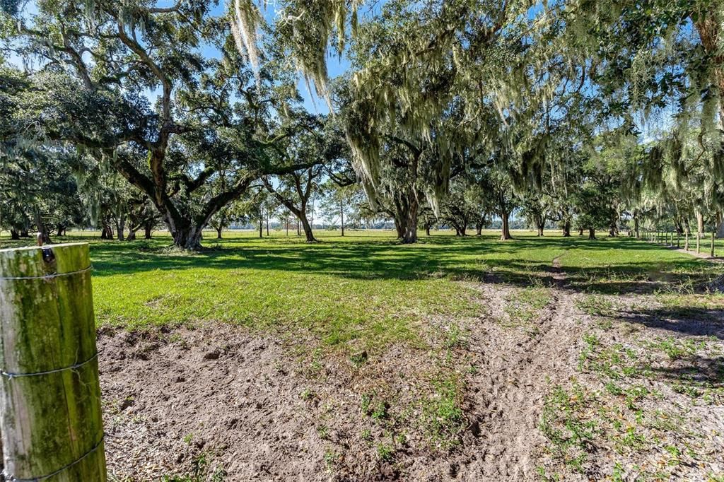 For Sale: $574,900 (20.02 acres)