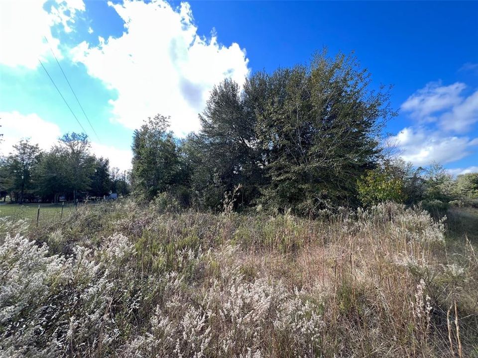 Recently Sold: $165,000 (10.20 acres)
