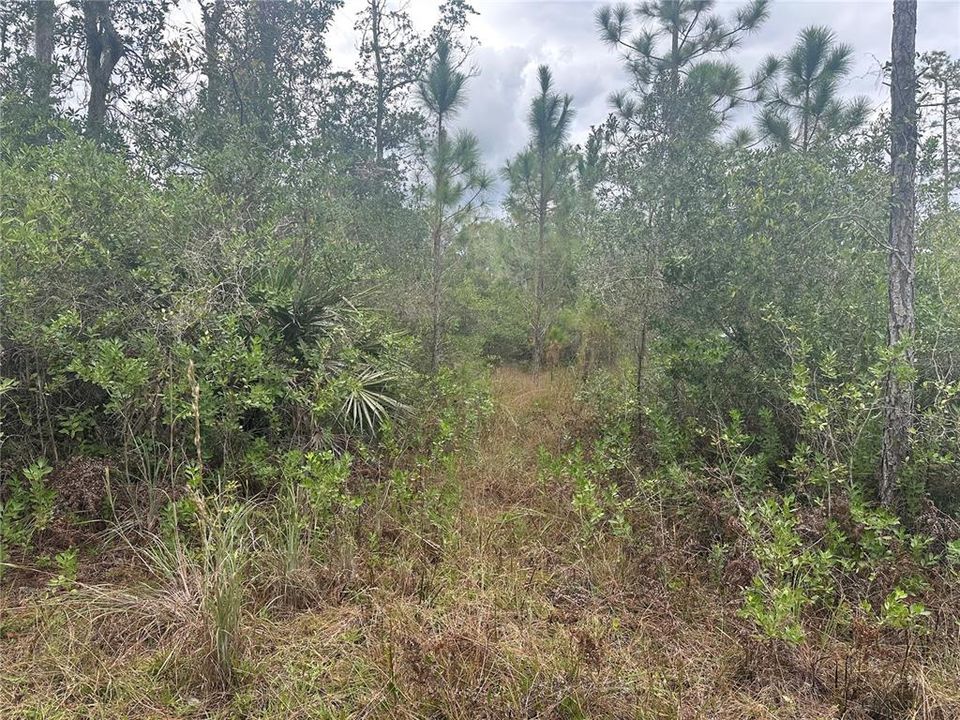 Active With Contract: $31,250 (0.35 acres)