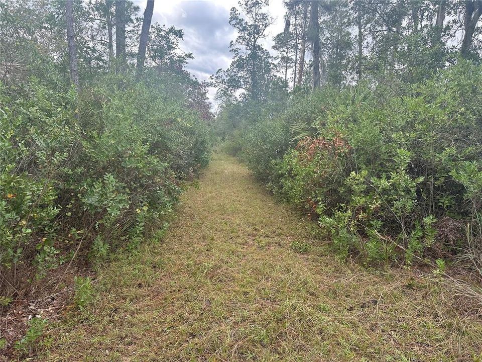 Active With Contract: $31,250 (0.35 acres)