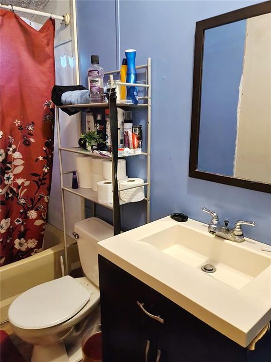 Main Bathroom