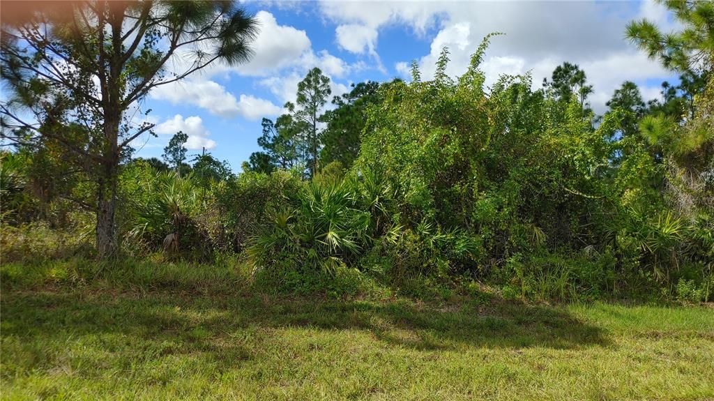 Activo con contrato: $22,900 (0.23 acres)